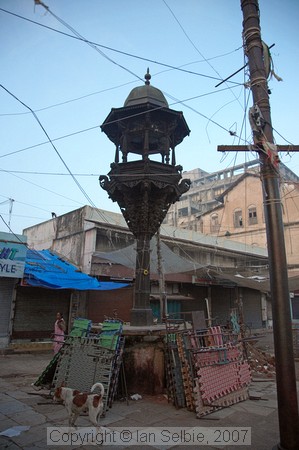 Bird feeder in Ahmedabad old city