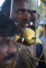 Thaipusam - Preparing for removal of the piercing spikes