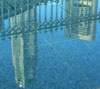 Near Singapore river - reflections in pool by Parliament Buildings