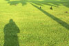 Near Singapore river: Shadow in the lawn by Parliament Buildings