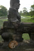 A dog sleeps at the base of one of the demons at the South Gate of Angkor Thom