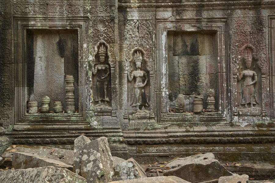 Ta ProhmTemple, Siem Reap, Cambodia