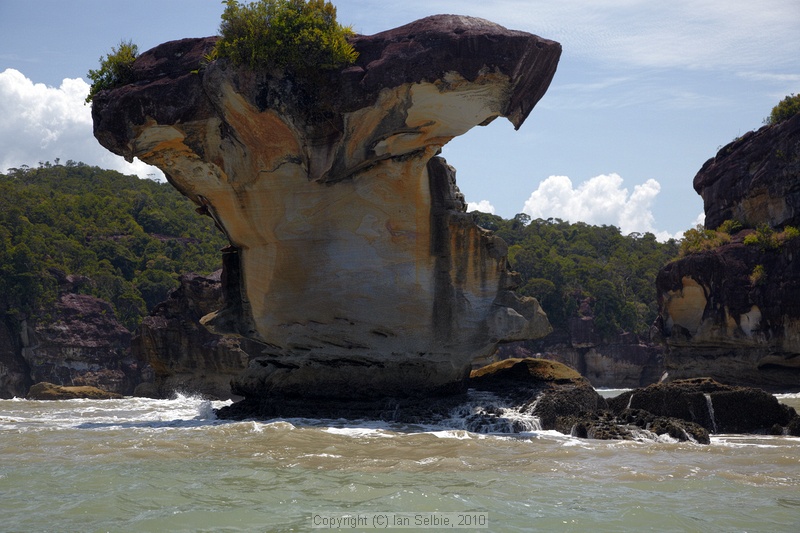 Cobra Rock, Bako National Park, Sarawak, East Malaysia (Borneo)