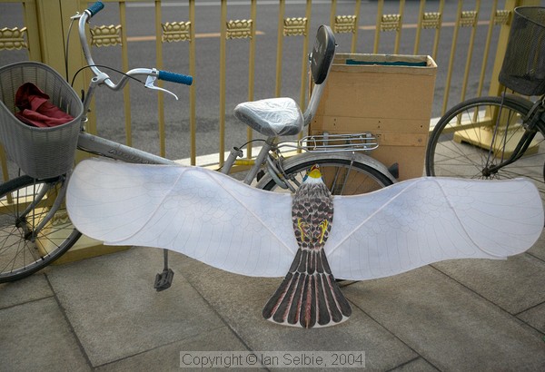 Kite tied to a bicycle, Tiannanmen Square, Beijing
