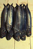 Fresh fish laid out neatly on the slab at Mersing wet market