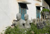 Statues lined up in the back yard